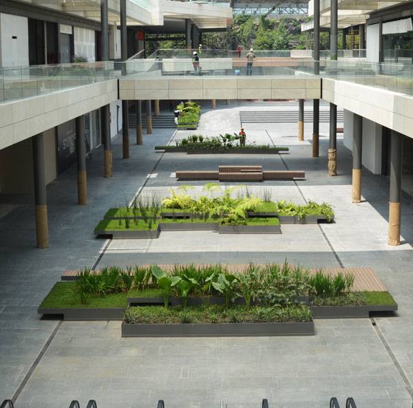 OASIS Coyoacán. Photo credit: DLC Architects