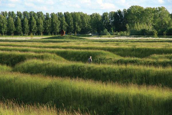Land Art Park Buitenschot. Photo credit: Paul de Kort