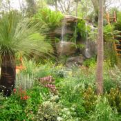 The RHS Chelsea Flower Show 2013