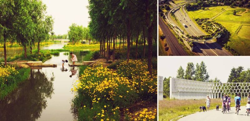 10 of the Best Ecological Designs in the World