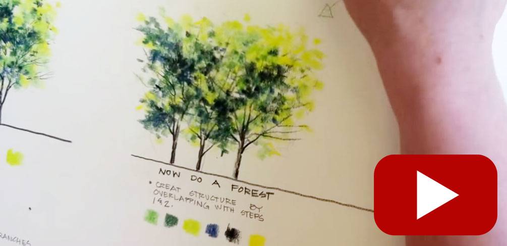 How to Draw Trees with Markers