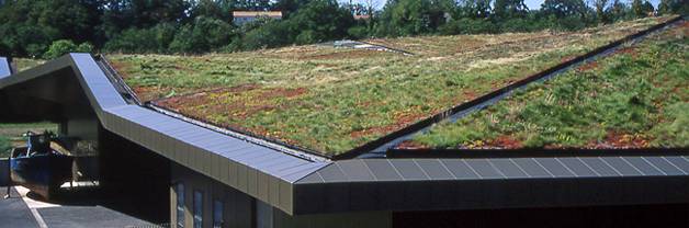 Extensive Green Roof at Vendée Historial, les Lucs. Credit: Public Domain