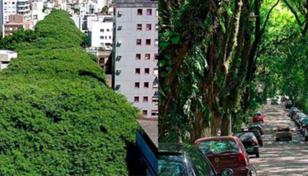 GONÇALO DE CARVALHO