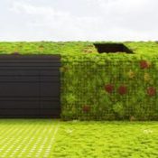 Green roof. Credit: Van der Tol Hoveniers en terreininrichters bv.