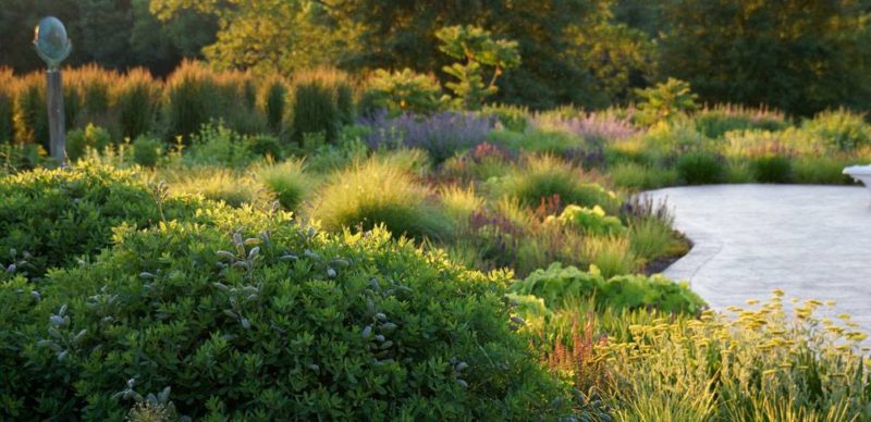 10 of the Most Common Mistakes People Make in Planting Design and How to Avoid Them