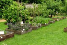 How to Build Raised Garden Beds on Your Own
