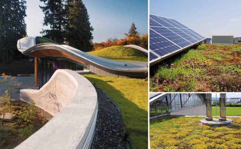 7 of The Best Books for Understanding Green Roofs