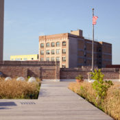 Green Roof Inspiration, Innovation, and Education with Molly Meyer