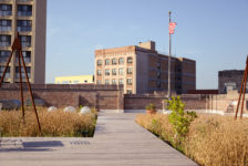 Green Roof Inspiration, Innovation, and Education with Molly Meyer