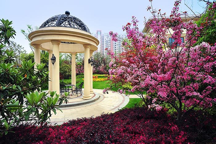 Pavilion with Cherry Blossom