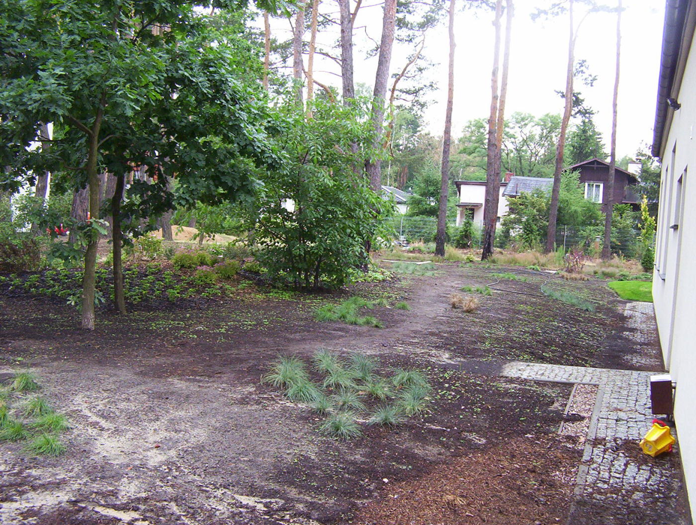 forest garden view 1