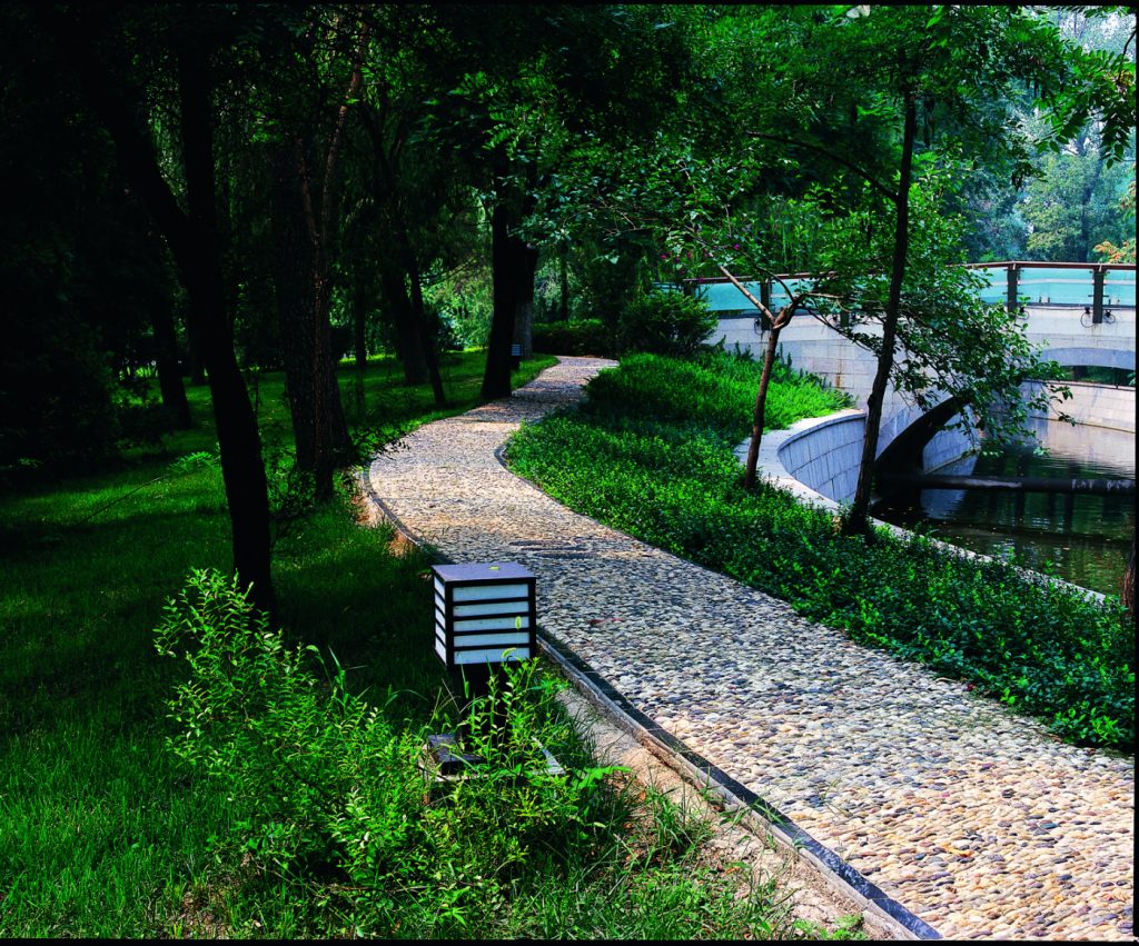 1336239 (Path) - Land8