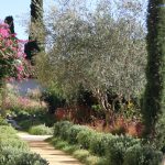 16_Mediterranean_Garden_Design_Jardin_Mediterraneen_Juan_les_Pins