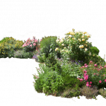1flowered_garden_png_02_by_montvalentstockd4gygi0