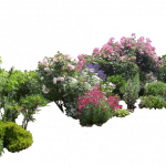 1flowered_garden_png_03_by_montvalentstockd4gyg0h