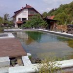 20090518_Schwimmteiche6