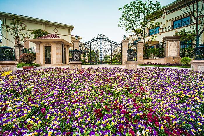 Flower bed with Feature lantern