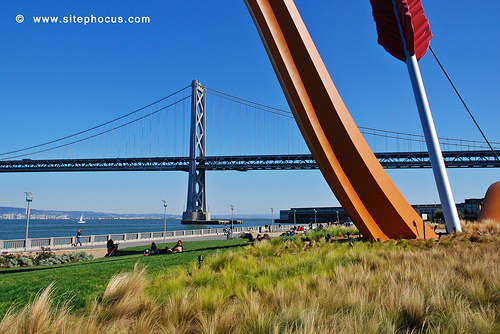 San Francisco Bay Trail-023