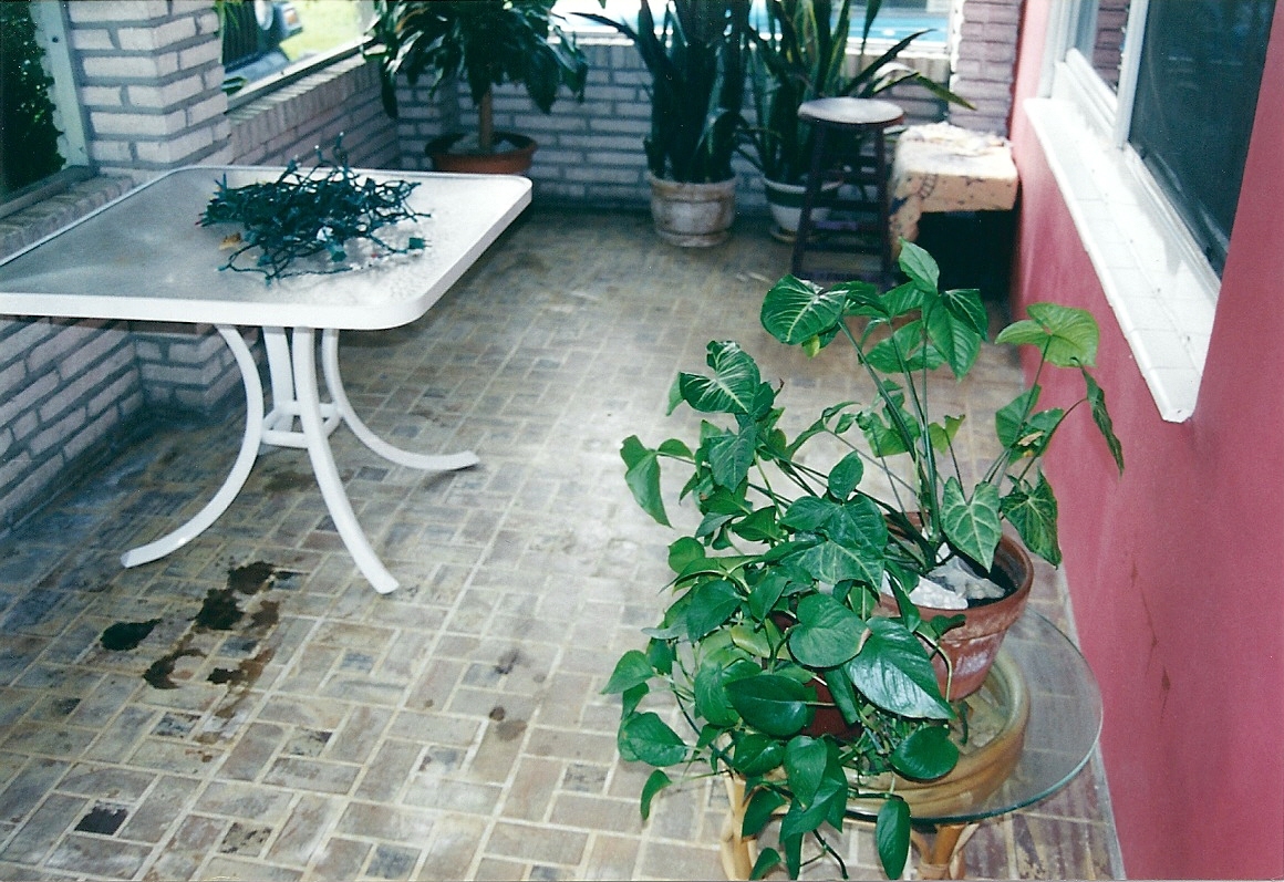 Porch Floor – Before