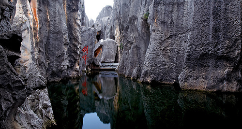 Stone Forest Pond