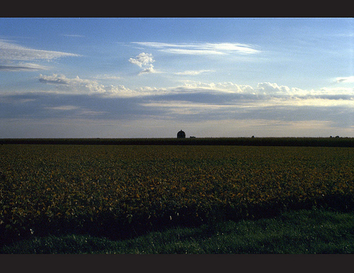 Single Horizon – The liminal zone between Earth and Sky