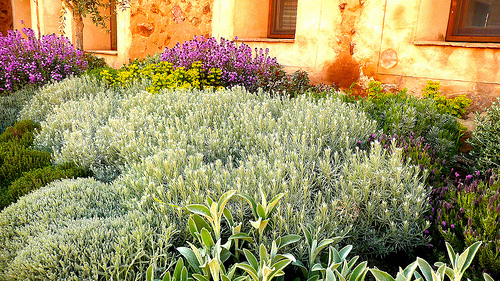 Jardín patio 2009 / Toledo. Abril 2010