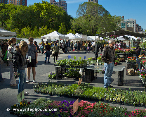 Union Square-016