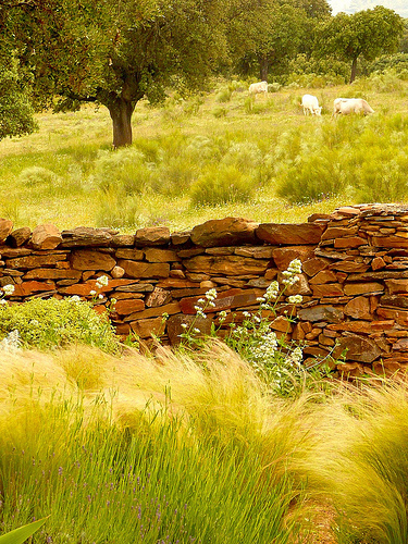 Jardín Caceres, Mayo 2010