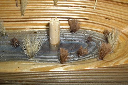 vegetated swale model
