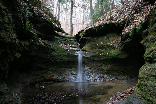 Turkey Run State Park – Indiana