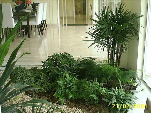 Jardín de interior – La Paisajista