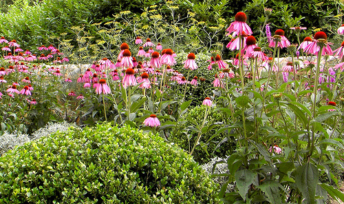 Jardín Ruiloba, Santander 2006