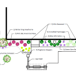 AutoCad_Elkins