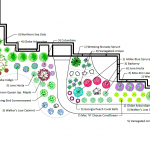 AutoCad_FulbrightCarrie