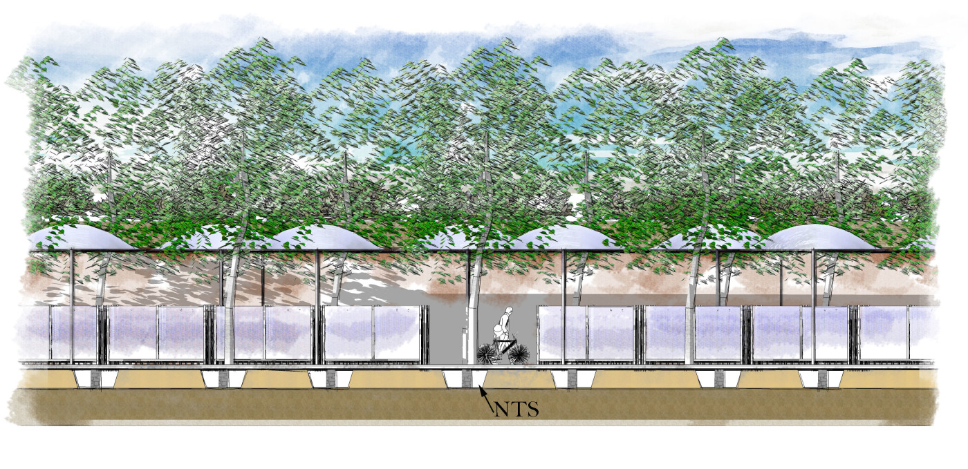 BD_cross_section_Final_flattened