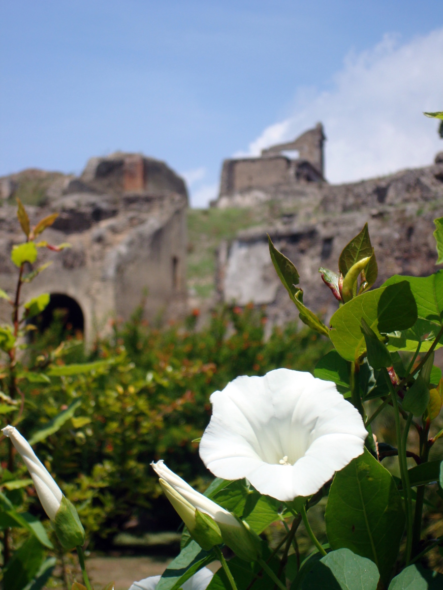 Pompeii