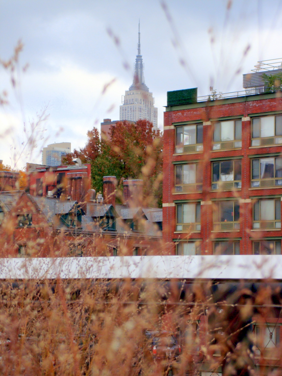 Empire State Bldg as seen from the Highline