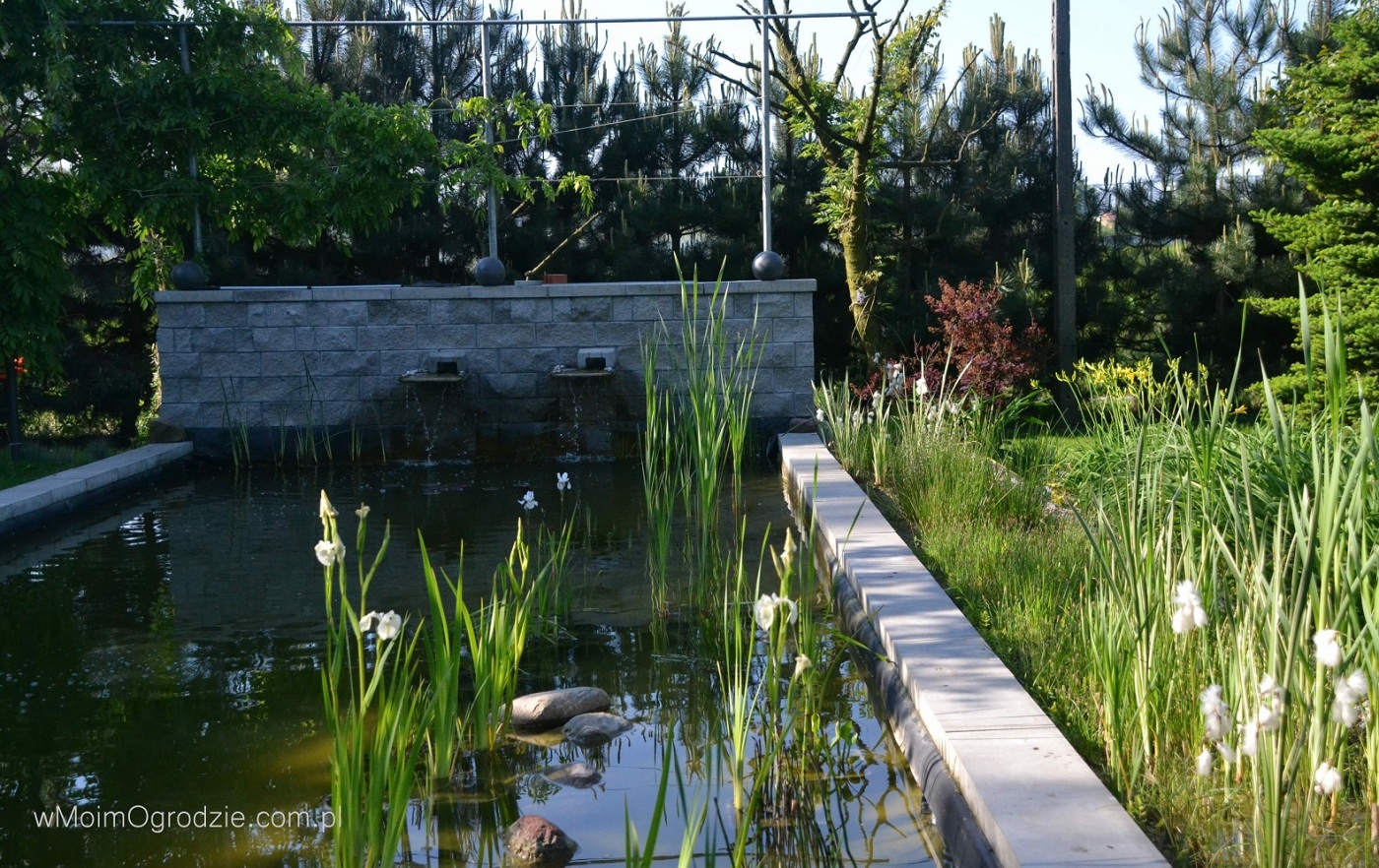 Modern pond