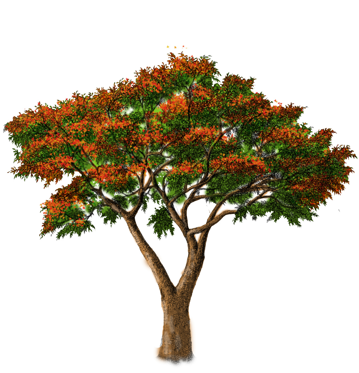 FeatureTree011