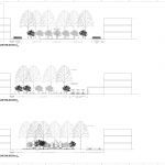 L101LandscapePlan4