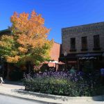 LibertyvilleStreetscape4