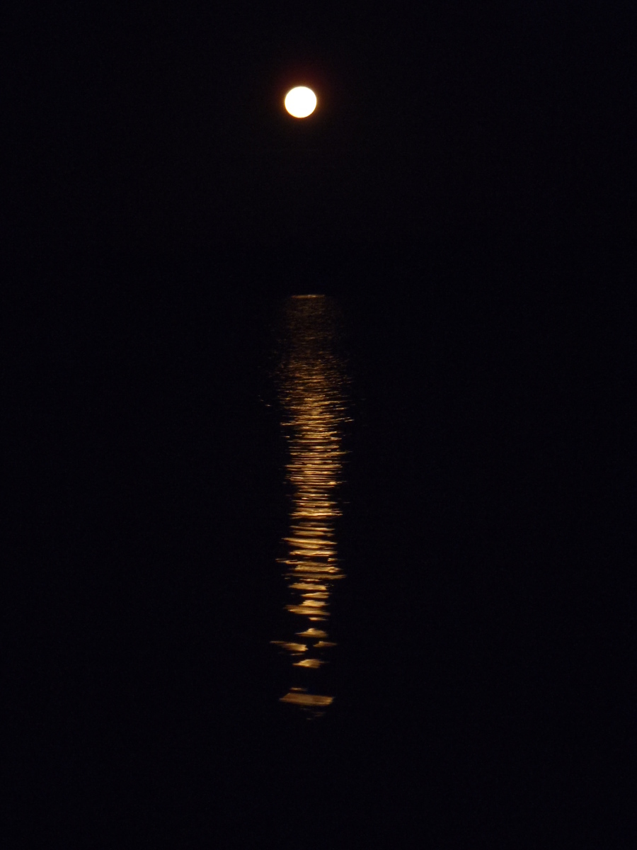 Moonrise – Hell’s Bay, FL