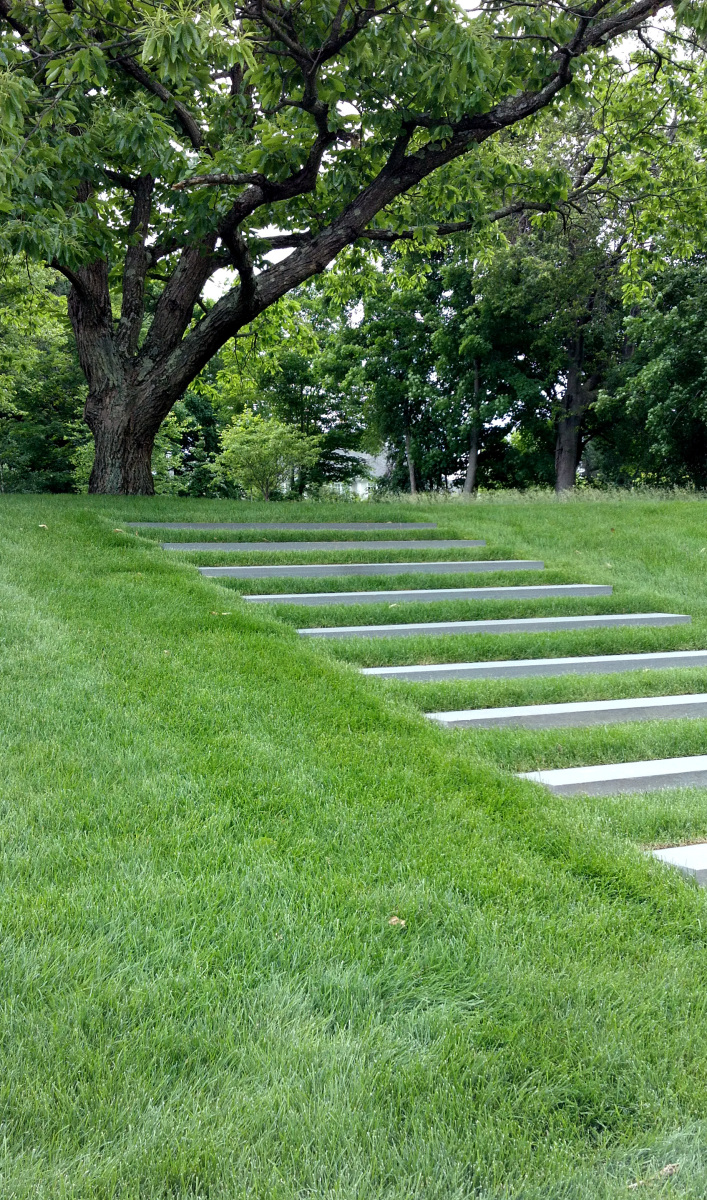 Slab stairs embedded in lawn