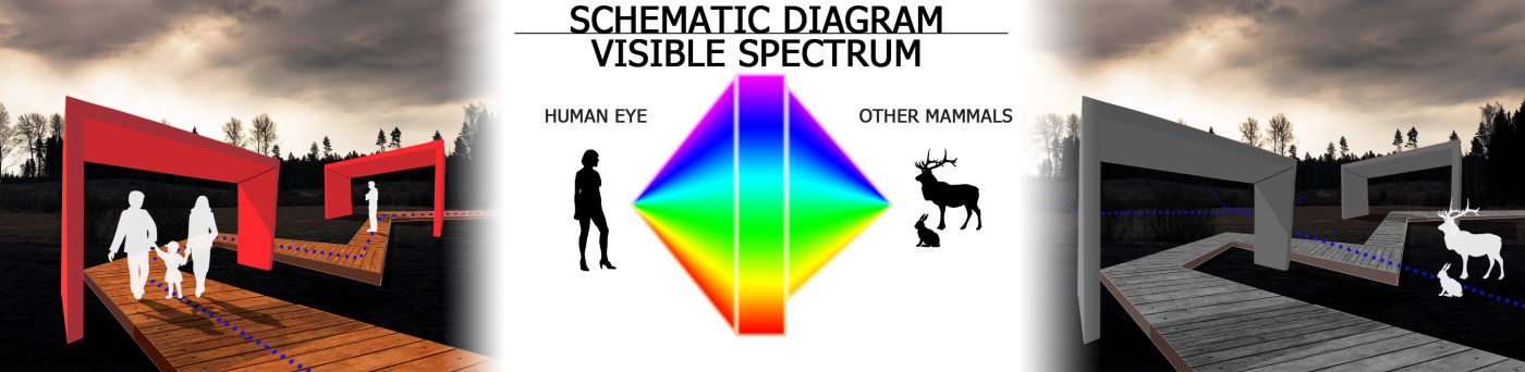 Schematic diagram – 1