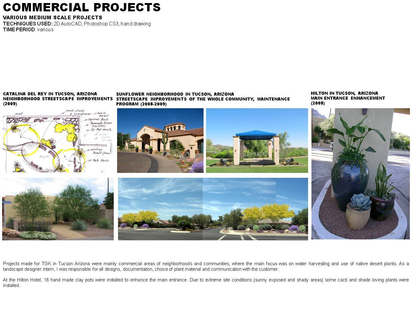 Commercial projects