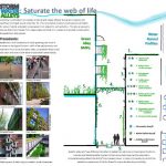 StormwaterAlleys_Page_1