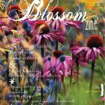 coversummerBlossomzine