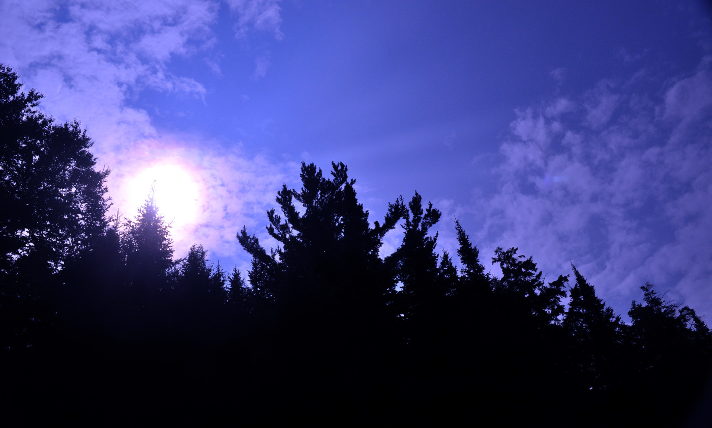 Algonquin Provincial Park