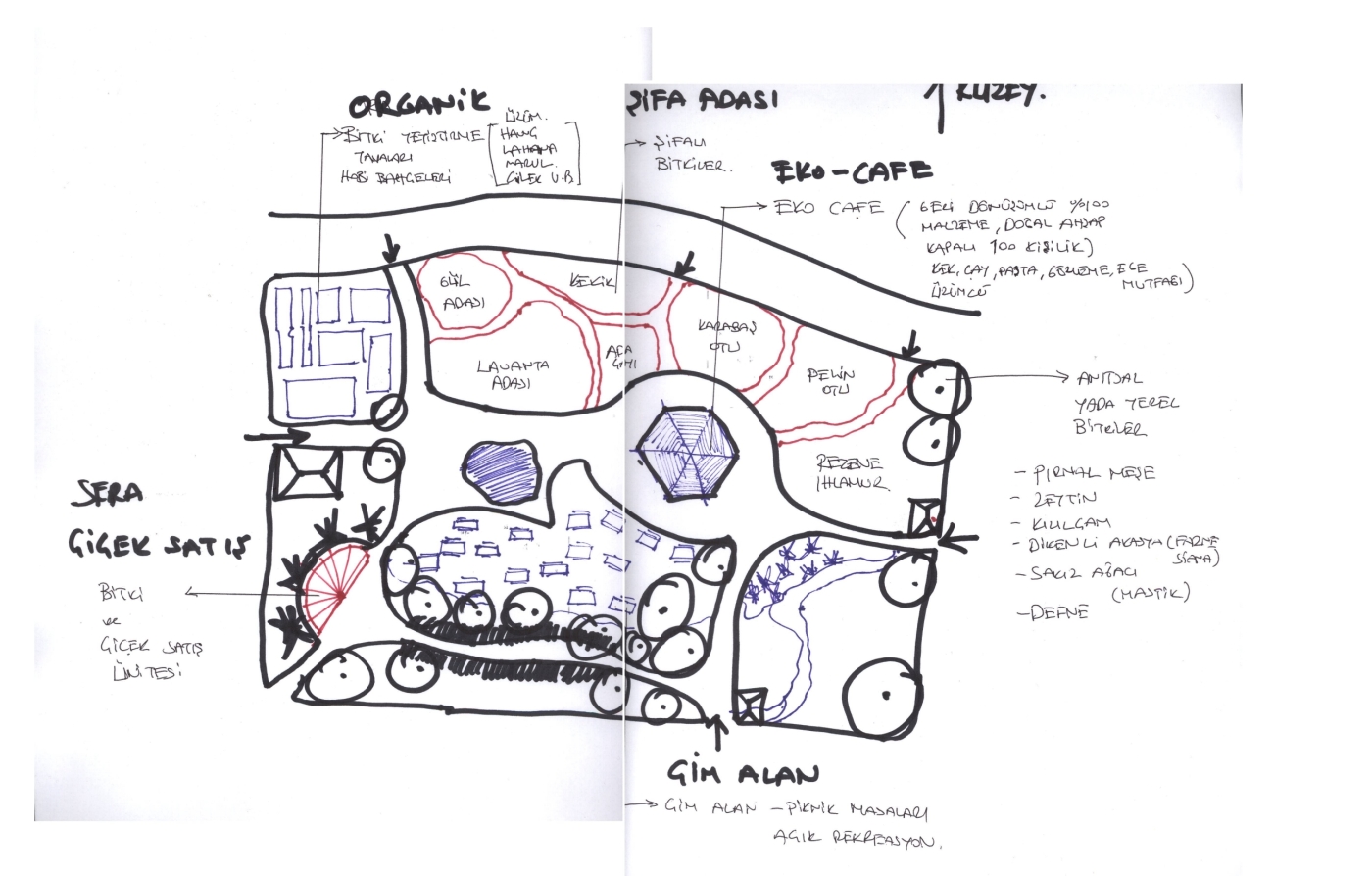 endemic plan 1