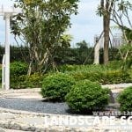 lsslandscapedesign1